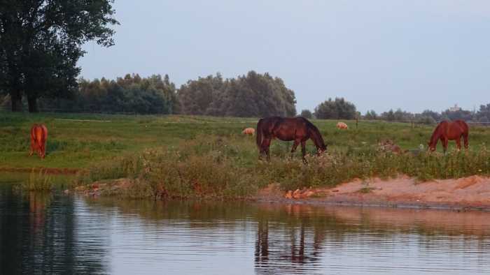 2014Nordsee0002